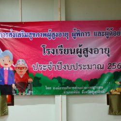 โครงการส่งเสริมสุขภาพผู้สูงอายุ ผู้พิการ และผู้ด้อยโอกาส (โรงเรียนผู้สูงอายุ) ครั้งที่ 1 ประจำปีงบประมาณ 2564