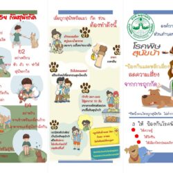 โรคพิษสุนัขบ้า “ป้องกันและหลีกเลี่ยงลดความเสี่ยงจากการถูกกัด”
